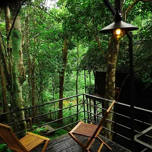 Resort Ranches Jungle Beats